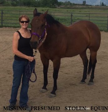 MISSING PRESUMED STOLEN EQUINE Taur Dees Friend, LOCATED 7/20/2018 Near Broomfield, CO, 80020